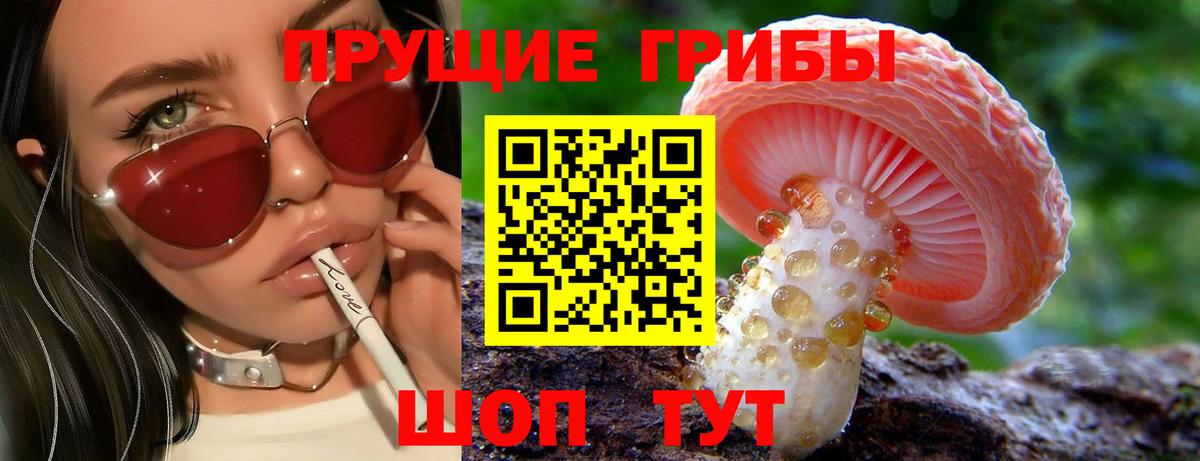 Димитровград  Галлюциногенные грибы прущие грибы  Вход с VPN 